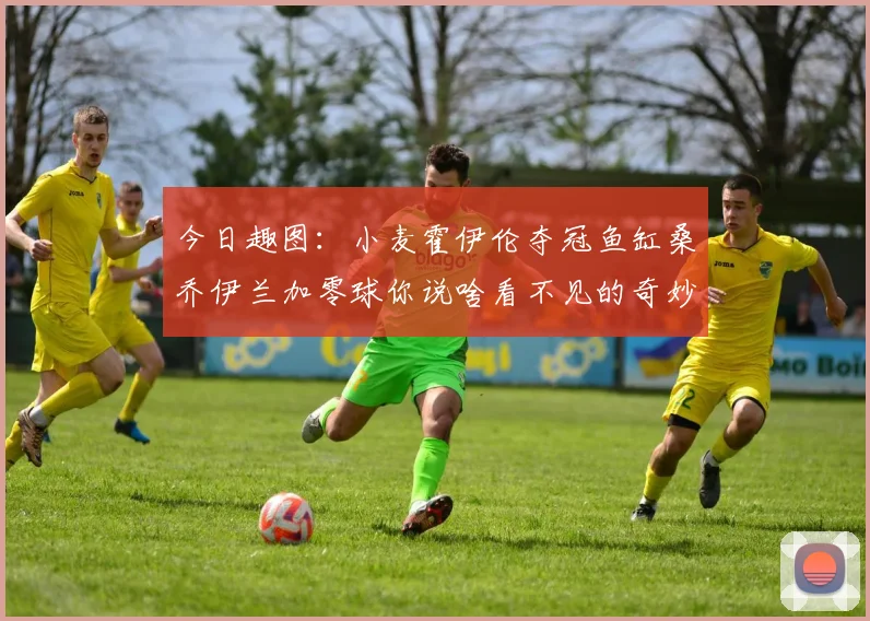 今日趣图：小麦霍伊伦夺冠鱼缸桑乔伊兰加零球你说啥看不见的奇妙瞬间