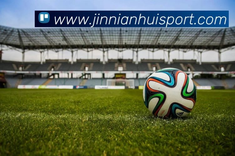 金年会APP 封面图