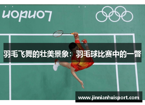 羽毛飞舞的壮美景象：羽毛球比赛中的一瞥